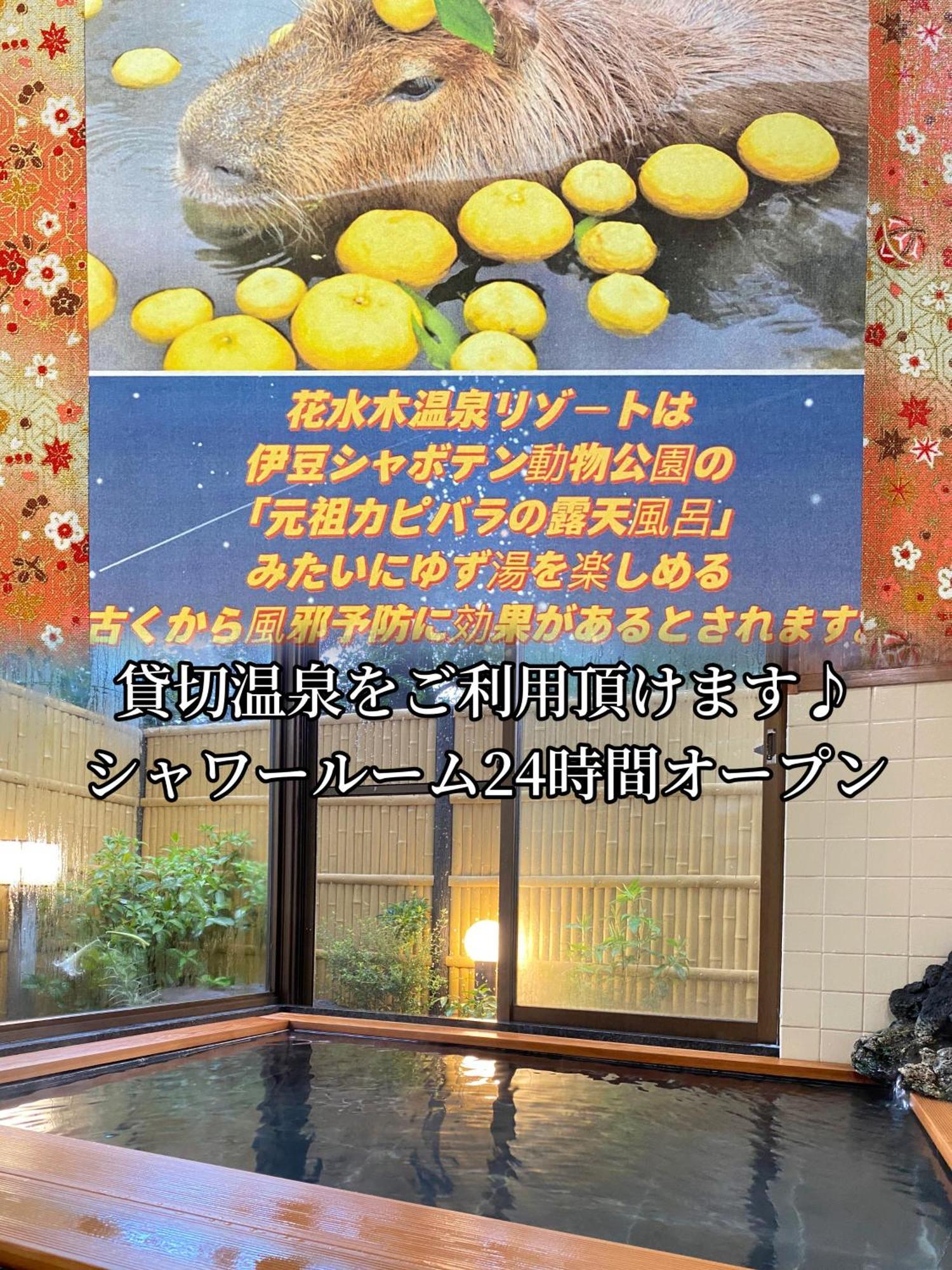 傳統日式旅館 Hanamizuki Onsen